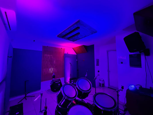 Sala Walrus
